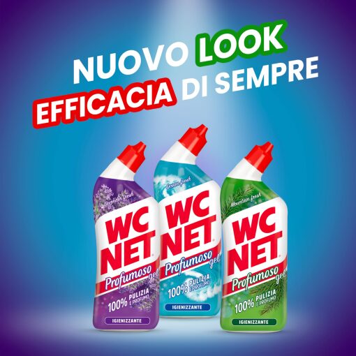 SPEDIZIONE 21GG WC Net Profumoso Gel 700 ml MISTI - CONFEZIONE DA 12 - Sottocosto