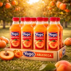 Succo Albicocca Yoga 1 L-CONFEZIONE DA 6